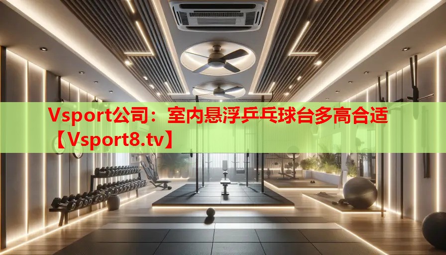 Vsport公司：室內(nèi)懸浮乒乓球臺(tái)多高合適