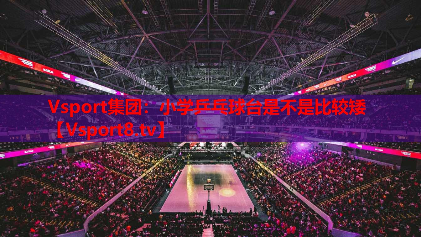 Vsport集團(tuán)：小學(xué)乒乓球臺(tái)是不是比較矮