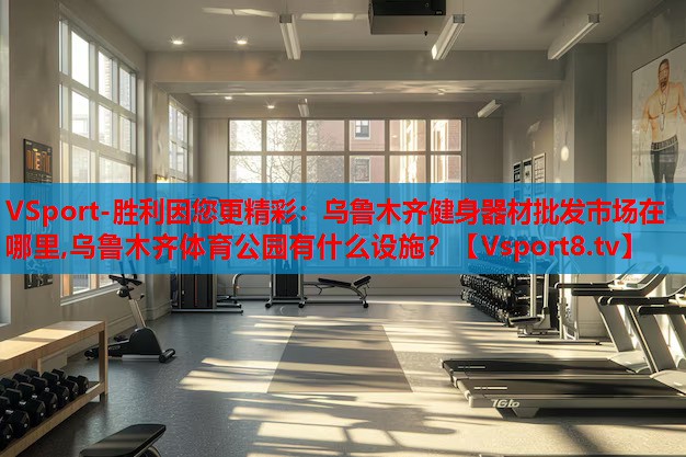 VSport-勝利因您更精彩：烏魯木齊健身器材批發(fā)市場在哪里,烏魯木齊體育公園有什么設(shè)施？