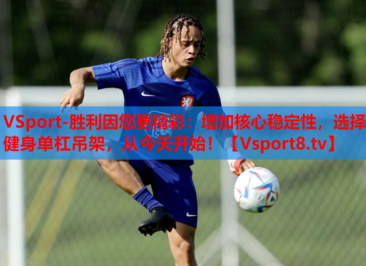 VSport-勝利因您更精彩：增加核心穩(wěn)定性，選擇健身單杠吊架，從今天開始！